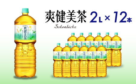 爽健美茶 PET 2L×12本(6本×2ケース) お茶 飲料 ソフトドリンク カフェインゼロ ペットボトル 箱買い まとめ買い 備蓄 災害 014063