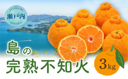 [先行受付]瀬戸内 島の不知火 約3kg 白鷺農園[2026年2月下旬〜4月上旬頃出荷] デコポン と同品種 旬 柑橘 フルーツ 果物 しらぬい デコポン 贈答 不知火 164001