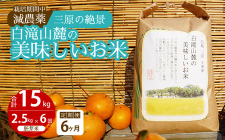 y6ցz͔|Ԓ_ O̐iR[̔  2.5kg×6 2025N10\ ˓rIt@[    002029