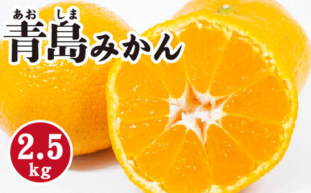 みかん[先行受付][2026年1月末以降発送] 濃厚な甘さが特徴!青島みかん [約2.5kg] 広島 三原 佐木島 鷺島みかんじま 017053