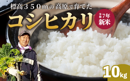 yߘa7NVāzRVqJ āiāj10kg Ђ ͂   ɂ 181001