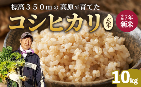 yߘa7NVāzRVqJ  10kg V RVqJ Ђ ͂   181003