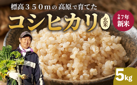 yߘa7NVāzRVqJ  5kg Ђ ͂   181004