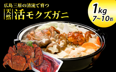 ystzLY VRNYKjiIXEX/1kgj 2025N1216\ VR TCY Y  I I Kj CI  g X`  䥂 {C Vst 117