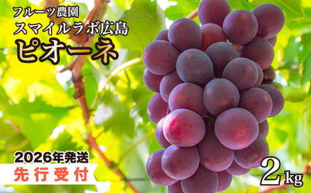 �y��s��t�z�s�I�[�l2kg 2026�N8�����{�ȍ~���������\�� �Ԃǂ� �u�h�E ���� �s�I�[�l �ʕ� �t���[�c �V�N �Y�n���� �L�����O���s 059002