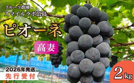 �y��s��t�z���ȁi�s�I�[�l�j2kg 2026�N9���ȍ~���������\�� �u�h�E ���� �Ԃǂ� ���� �t���[�c �ʕ� �V�N �Y�n���� �L�����O���s 059004