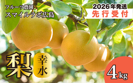 �y��s��t�z�K���i���������j4kg 2026�N8�����{�ȍ~���������\�� �� �i�V �Ȃ� �t���[�c �ʕ� �V�N �Y�n���� �L�����O���s 059009