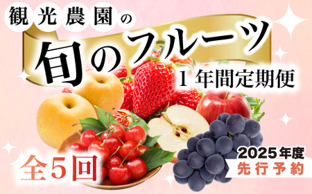 [1年間定期便]旬のフルーツ定期便5回 いちご さくらんぼ 梨 ぶどう りんご 詰め合わせ 新鮮 果物 広島県 三原市 059014