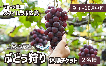ぶどう狩り利用券 2名様分 フルーツ狩り 体験 果物狩り ぶどう 採り放題 ブドウ 新鮮 広島県三原市 059015