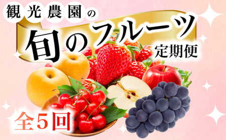 [フルーツ定期便全5回]豪華フルーツ いちご450g,さくらんぼ500g,梨2kg,ぶどう2kg,りんご2kg 詰め合わせ 採れたて 新鮮 産地直送 広島県 三原市 059021