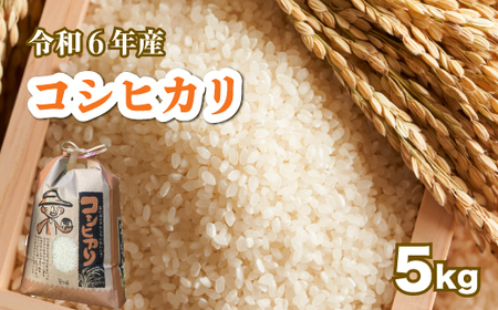 [令和6年産]コシヒカリ 白米5kg お米 米 精米 ごはん ご飯 広島県 三原市 187004