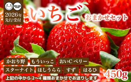 �y��s��t�z�t���[�c�_���̂��܂��� �` ������ �` 450g 2026�N3�����{�ȍ~�����\�� �C�`�S � �t���[�c �ʕ� �L���� �O���s 059022