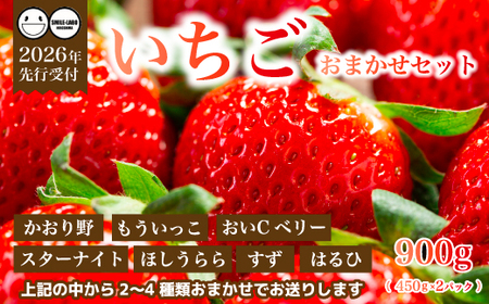 �y��s��t�z�t���[�c�_���̂��܂��� �` ������ �` 450g×2�p�b�N 2026�N3�����{�ȍ~�����\�� �C�`�S � �t���[�c �ʕ� �L���� �O���s 059023