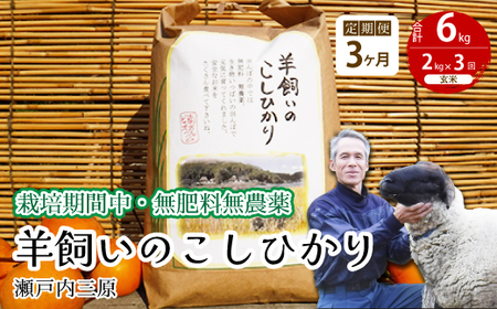 y3ցzs͔|ԒE엿_t˓O r̂Ђ  2kg×3 2025N9{\ ˓rIt@[    002030