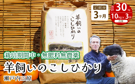 y3ցzs͔|ԒE엿_t˓O r̂Ђ  10kg×3 2025N9{\ ˓rIt@[    002033