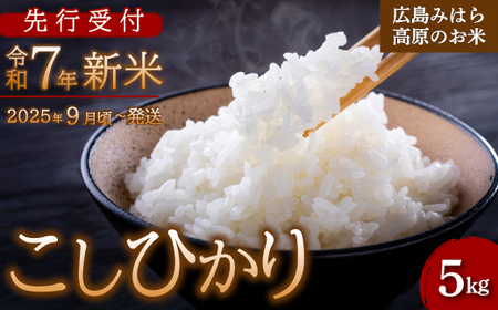 [先行受付]令和7年新米 コシヒカリ 白米5kg 2025年9月頃〜発送 お米 米 精米 ごはん ご飯 広島県 三原市 220001