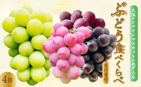 ystẑ݂_܂ ԂǂHׁׂi4[j uhE l ʕ t[c 2025N7`10{͂ LOs 206001