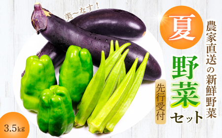 ystẑ݂_ _ƒIĖ؃Zbg(s[}AiXAIN)3.5kg ₳ l BBQ 2025N7`10{͂ LOs 206002