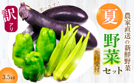 yԌzs󂠂t݂̂_ _ƒIĖ؃Zbg(s[}AiXAIN)3.5kg ₳ l BBQ LOs 206003
