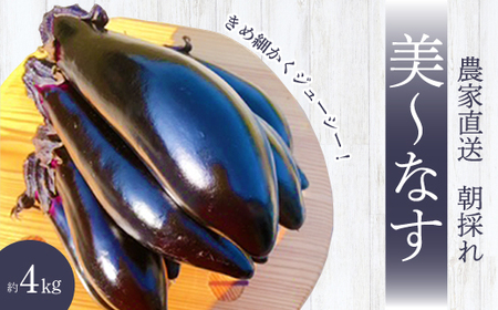 ystẑ݂_ _ƒI`Ȃ 4kg iX  ₳ 2025N7`10{͂ LOs 206005