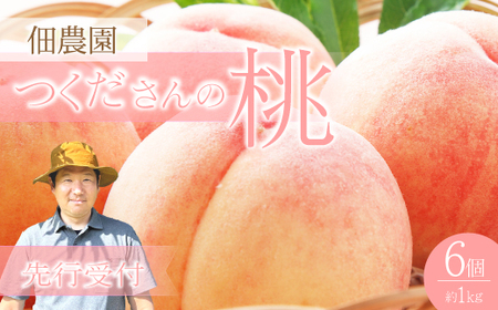 [先行受付]つくださんの桃 6個 約1kg もも モモ 果物 フルーツ 夏 広島県三原市 210001