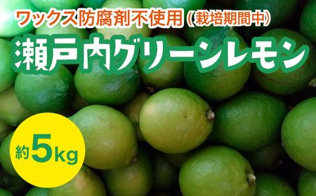 ˓ O[ 5kgy͔|Ԓh܃bNXsgpzystzy2025N10ȍ~z Y ؓ O L t[c ʕ k k EG 017056