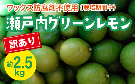 ˓ 󂠂O[ 2.5kgy͔|Ԓh܃bNXsgpzystzy2025N10ȍ~z Y ؓ O L t[c ʕ k k EG 󂠂 017058