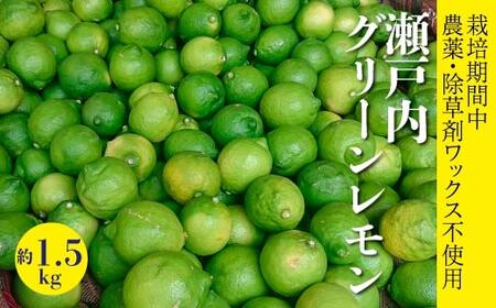 ystzy2025N10ȍ~zy͔|Ԓ _Eܕsgpz ؓIO[ 1.5kg   L O ؓ 듇݂񂶂 017060