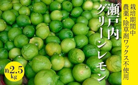  ystzy2025N10ȍ~zy͔|Ԓ _Eܕsgpz ؓIO[ 2.5kg   L O ؓ 듇݂񂶂 017061