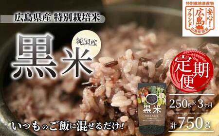 3ցySILuhzLY ʍ͔|  250g×PpbN×3 Y ̃Tv e N Tvg H@ ~l  ͂ 227003