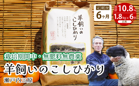 y6ցzs͔|ԒE엿_t˓O r̂Ђ  1.8kg×6 2025N9{\ ˓rIt@[    002018