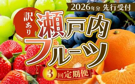 [年3回定期便]瀬戸内の恵みがいっぱい![訳あり]人気の厳選フルーツ定期便 いちご ぶどう シャインマスカット 紅八朔 広島県三原市 イチゴ ブドウ ナガノ はっさく