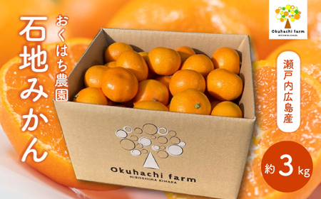 y͂_zΒn݂ 3kg s2025N12\t͔|Ԓ h bNX sgp { k 񂫂 t[c ʕ ˓ 166003