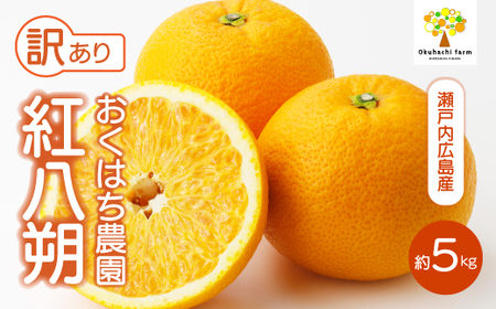[おくはち農園][訳あり]紅八朔 5kg [2026年2〜3月発送予定]栽培期間中 防腐剤 ワックス 不使用 旬 柑橘 かんきつ はっさく フルーツ 果物 瀬戸内 166006