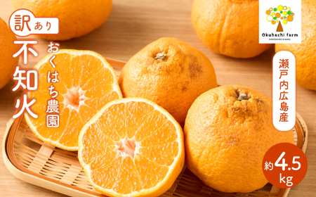 [おくはち農園][訳あり]不知火(しらぬい) 4.5kg [2026年3〜4月発送予定]栽培期間中 防腐剤 ワックス 不使用 旬 柑橘 かんきつ フルーツ 果物 瀬戸内 166010