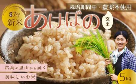 [令和7年新米]広島の里山から届く新米「あけぼの」玄米5kg [栽培期間中農薬不使用] 米 お米 おすすめ 157005