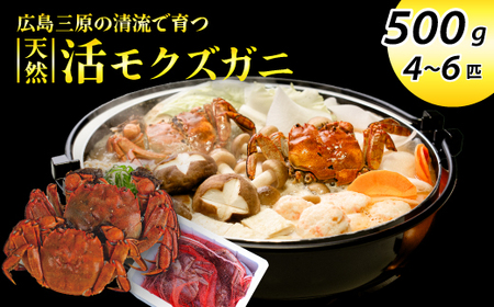 ystzLY VRNYKjiIXEX/500gj 2025N1216\ VR TCY Y  I I Kj CI  g X`  䥂 {C Vst 11