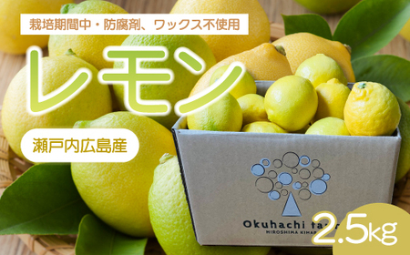 [おくはち農園]レモン 2.5kg [2025年11月〜2026年3月発送予定]栽培期間中 防腐剤 ワックス 不使用 旬 柑橘 かんきつ フルーツ 果物 166021