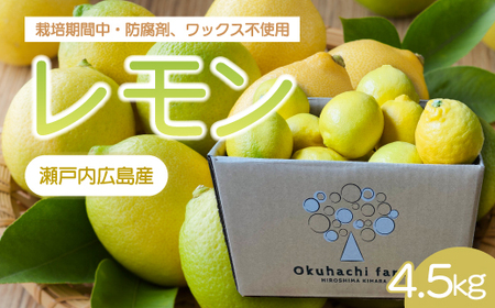 y͂_z 4.5kg s2026N11`3\t͔|Ԓ h bNX sgp { k 񂫂 t[c ʕ  166022