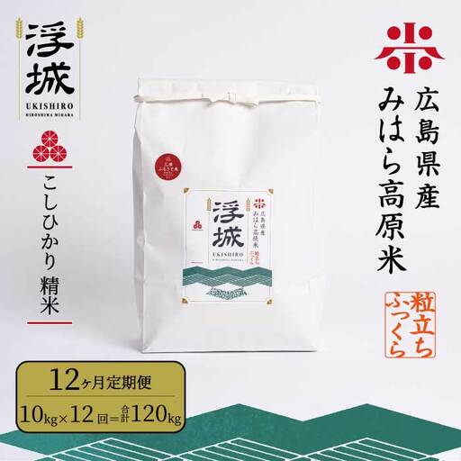 《令和7年》【12か月定期便】みはら高原米 浮城 ～ こしひかり ～ 白米 10kg コシヒカリ お米 米 精米 ごはん ご飯 広島県 三原市 220060