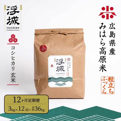 《令和7年》【12か月定期便】みはら高原米 浮城 ～ こしひかり ～ 玄米 3kg コシヒカリ お米 米 ごはん ご飯 広島県 三原市 220062