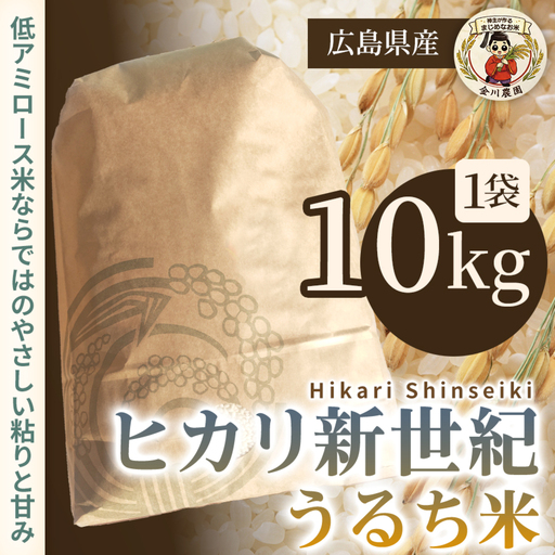 ヒカリ新世紀（うるち米）10kg 米 お米 コメ ご飯 ごはん 238008