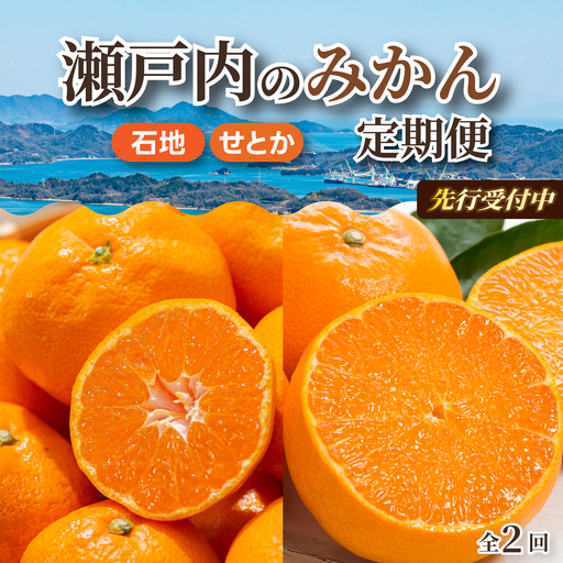 [数量限定☆先行受付]柑橘食べ比べ定期便(石地みかん・せとか) 各2.5kg フルーツ 果物 みかん オレンジ 産地直送 ジューシー 人気 濃厚
