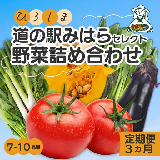 [3か月定期便]道の駅セレクト 旬野菜つめあわせ やさい 野菜 詰め合わせ 7〜10品目 新鮮 国産 健康 ヘルシー サラダ 鍋 季節 043041