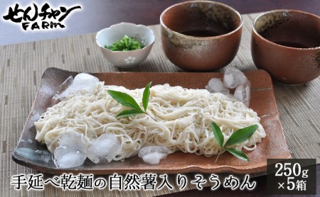 コシがあって美味♪手延べ乾麺の自然薯入りそうめん(250g×5箱) 広島 三原 とろろ 常温