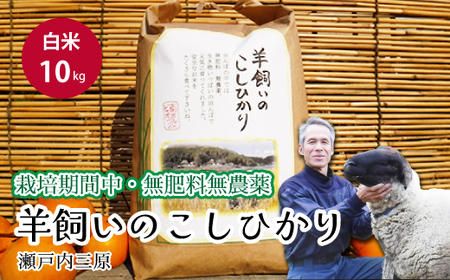 y͔|ԒE엿_z˓O r̂Ђ  10kg 2025N9{\ ˓rIt@[    002013