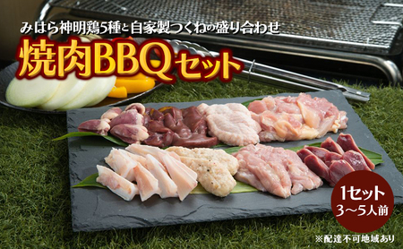 鮮度抜群でレア部位も含む6種入り、鶏肉専門店の「焼肉BBQセット（みはら神明鶏）」 広島 三原 鳥徳