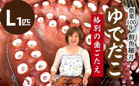 Ń_R(L) 1C 䥂Ń_R ^R   ˓ 019003