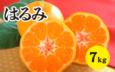 ݂ k ystzy2026N2ȍ~zÂăW[V[I˓܂̂͂ 7kg  L O ؓ 듇݂񂶂 ݂ 017023