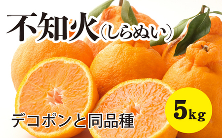 ݂ kystzy2026N3ȍ~zÂQʂIfRyfR|Ɠiz5kg L O ؓ 듇݂񂶂 017027